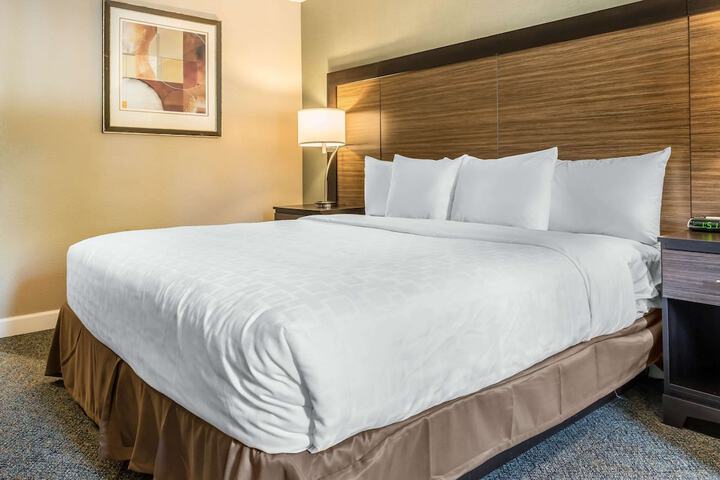 1 King Bed (14 of 16)