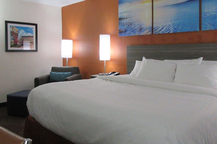 1 King Bed Accessible (13 of 20)