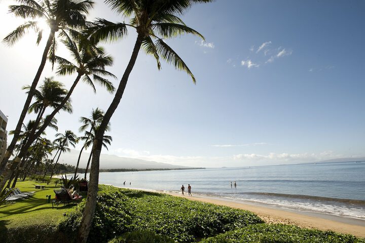 Beach 56 of 78