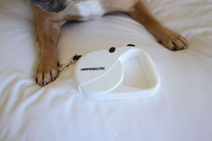 Pet-friendly