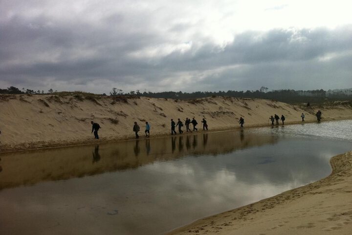 Beach 45 of 51