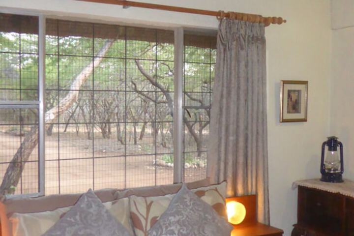 View from room