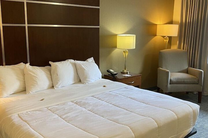 Deluxe King Bed (5 of 10)