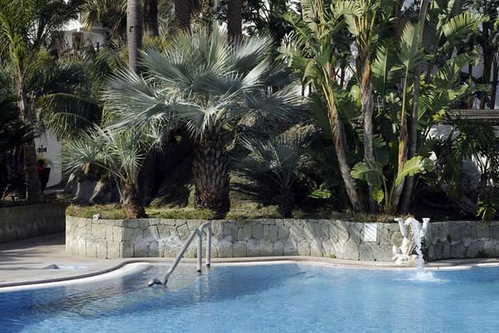 Pool 31 of 91