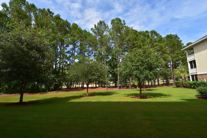 Property Grounds 13 of 15