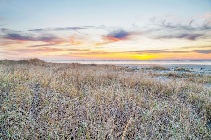 Beach 20 of 54