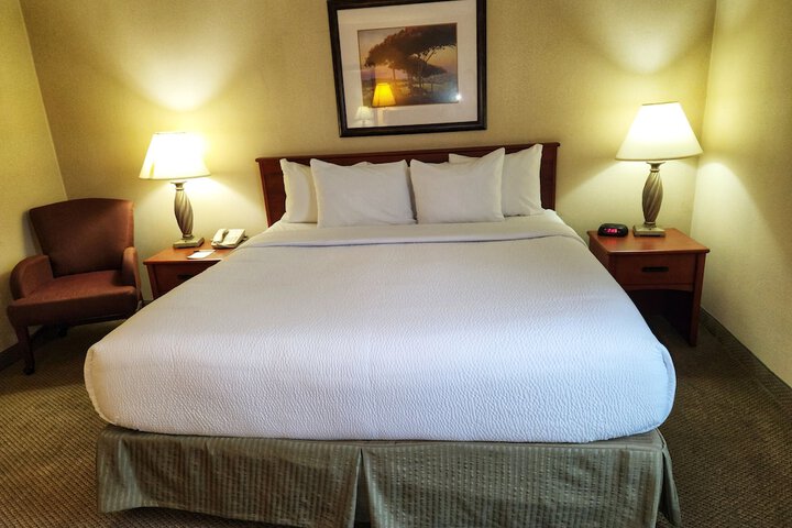 2 Double Beds 1 Bedroom Suite (1 of 22)