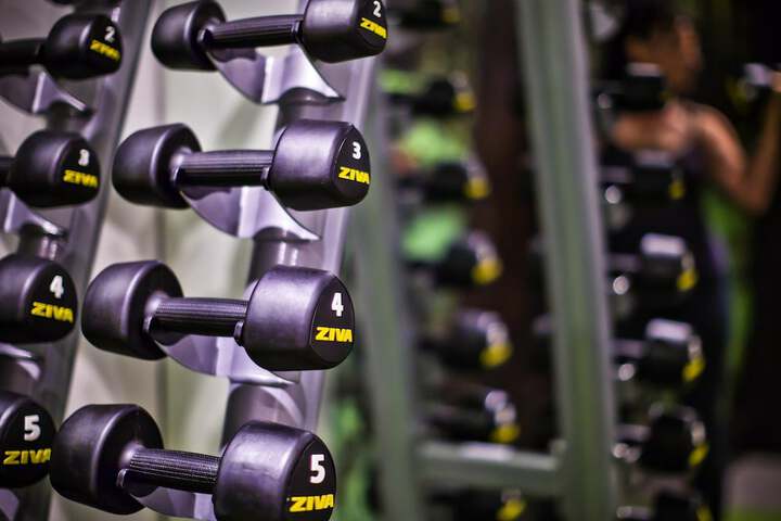 Gym & Fitness