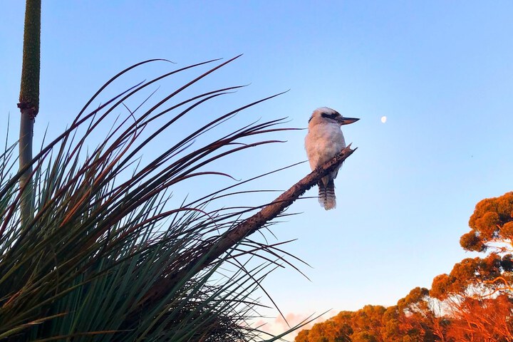 Outdoor Activities 7 of 14