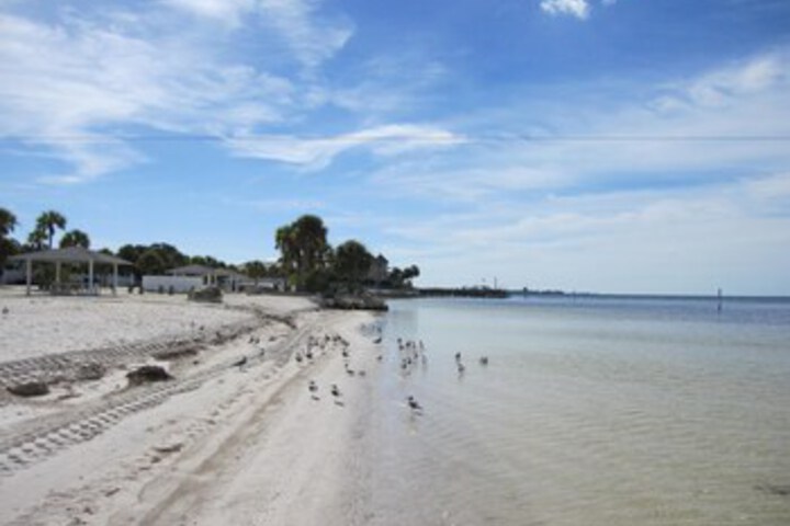Beach 8 of 39