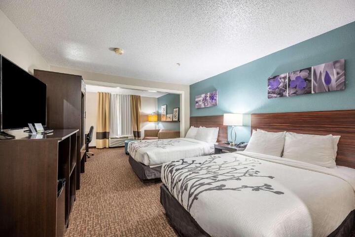 1 King Bed Suite (3 of 19)