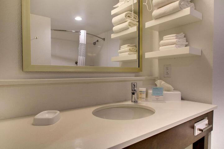 1 King Mobility Accessible Roll in Shower (9 of 15)