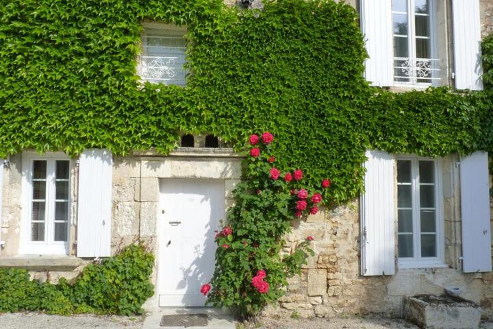 Photo 19