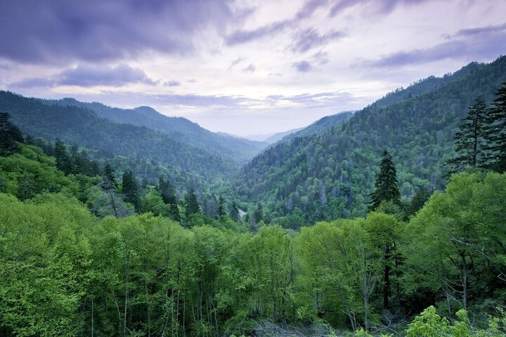 Hiking