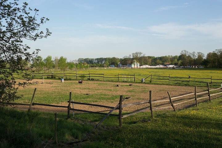 Property Grounds 31 of 56