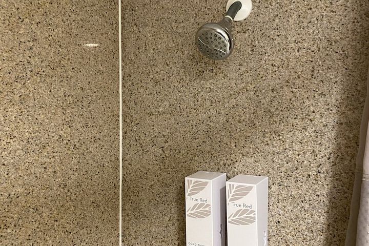 ADA Accessible Deluxe 2 Queen Beds with Roll in Shower (14 of 16)
