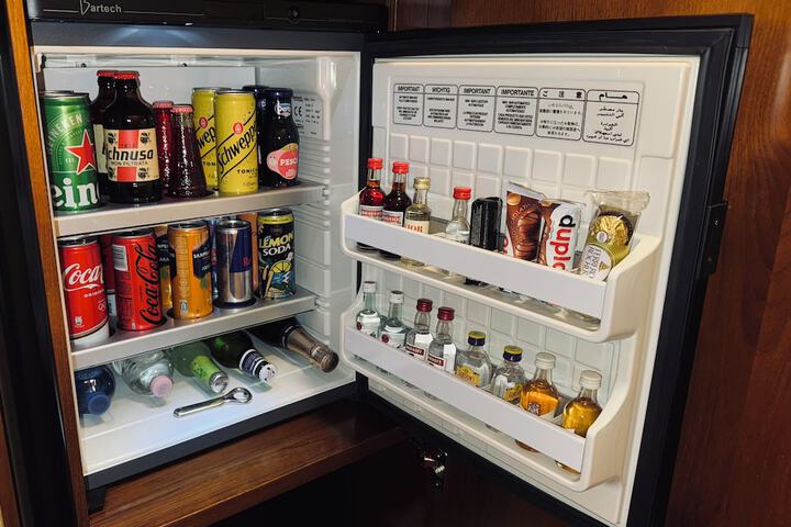 Mini-refrigerator
