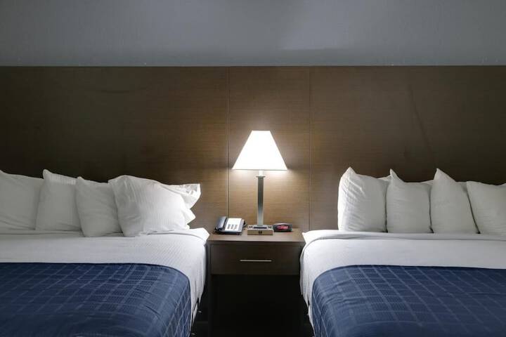 1 King Bed (8 of 21)
