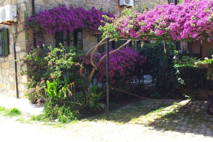 Spa and Wellness Pictures