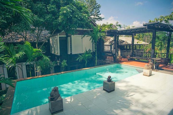 Pool 193 of 283