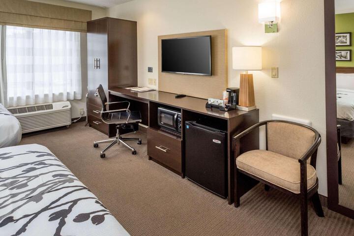 Standard Room, King or Two Doubles (2 of 5)