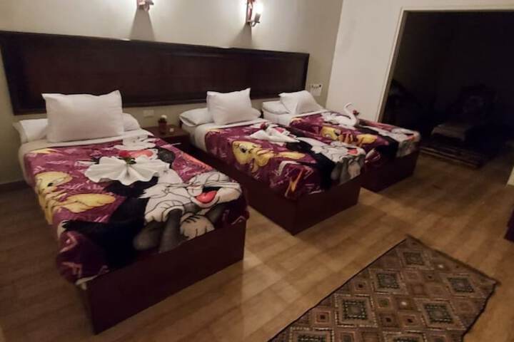 Room 47 of 61