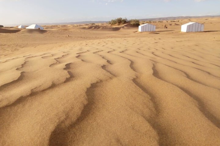 Majorelle Desert Camp in M'Hamid El Ghizlane