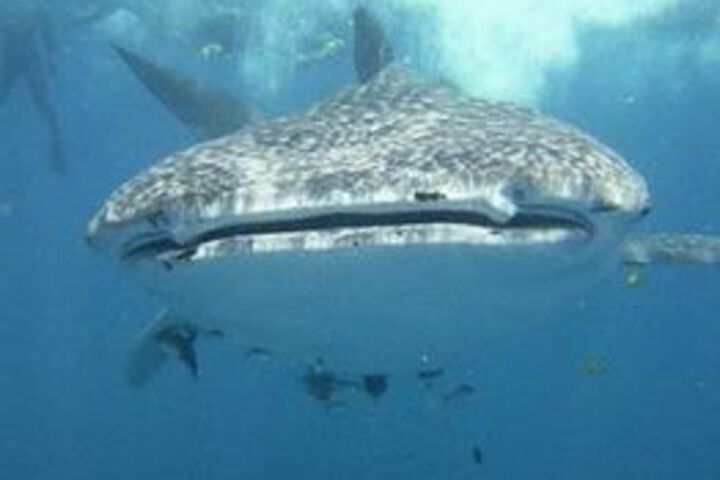 Water Sports 49 of 54