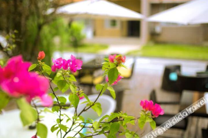 DREAM GARDEN