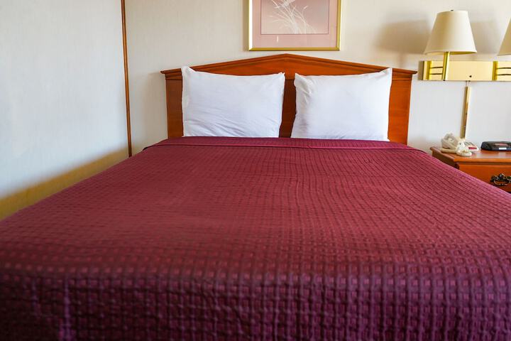 Room 14 of 54
