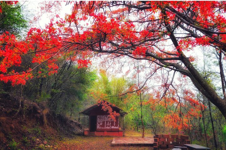 Devigiri Home Stay and Resort in Chikkamagaluru