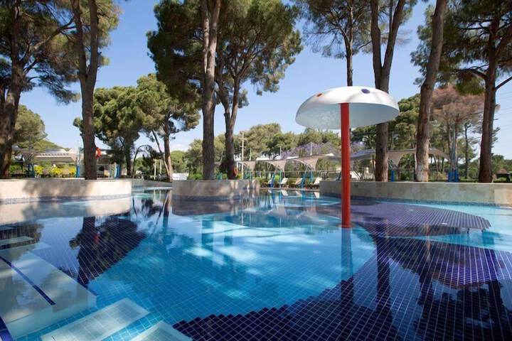 Pool 66 of 227