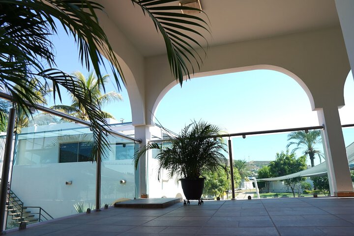 Terrace/Patio 24 of 39