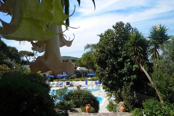 Pool 20 of 49