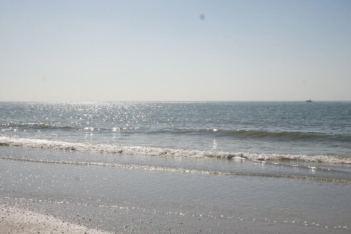 Beach 40 of 51