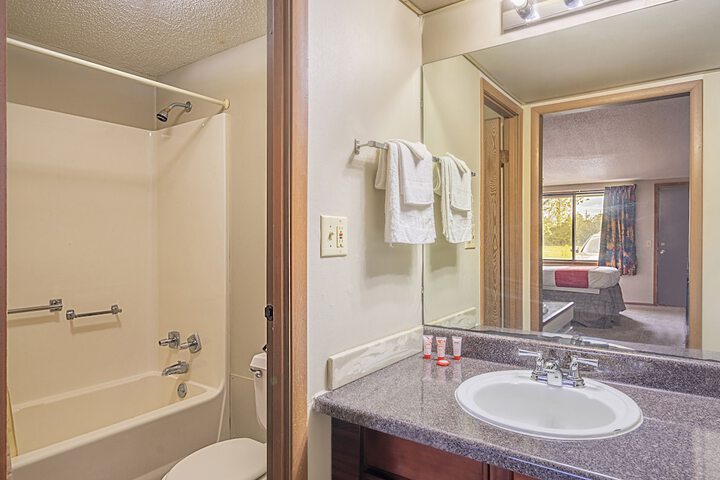 1 Bedroom Suite (2 of 8)