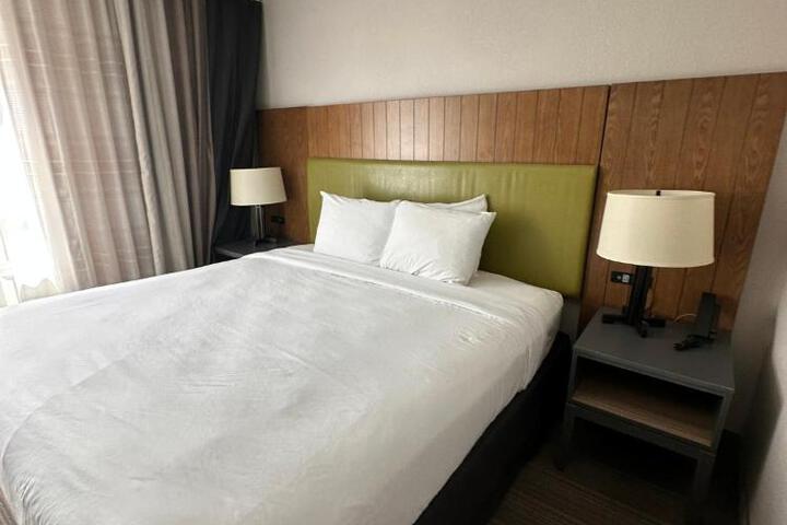 1 King Bed (7 of 9)