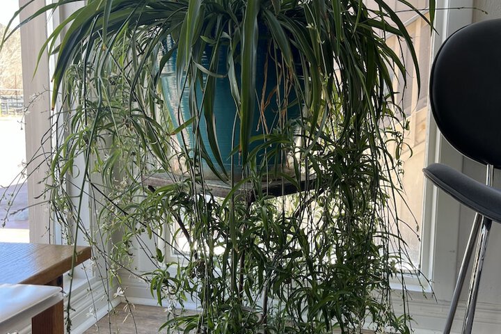 Hotel Interior 2 of 83