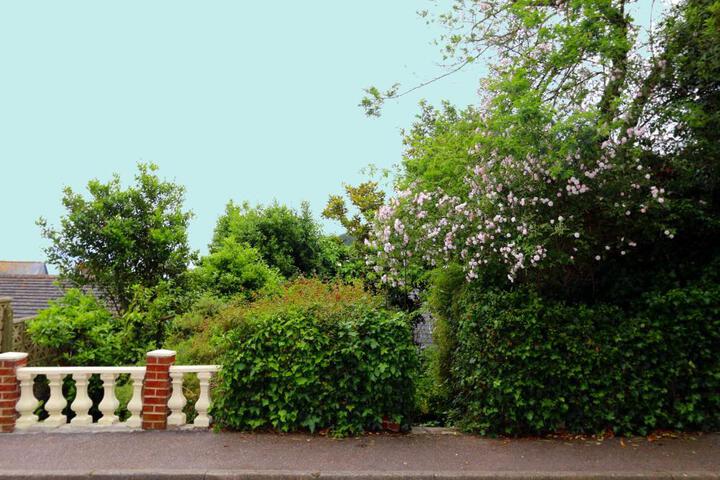 Photo 27