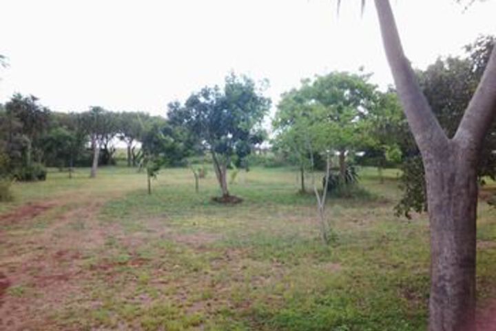 Property Grounds 11 of 16