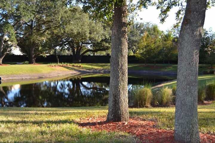 Property Grounds 26 of 28