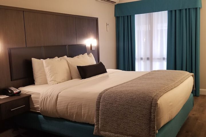 1 Queen Bed Work Desk Refrigerator Wood Floor Shower Only Full Breakfast (8 of 22)