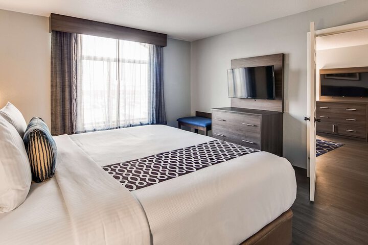 1 King Bed Pet Friendly Bathtub Accessible (10 of 22)