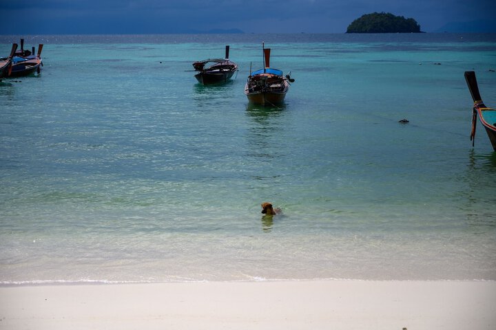 Beach 167 of 200