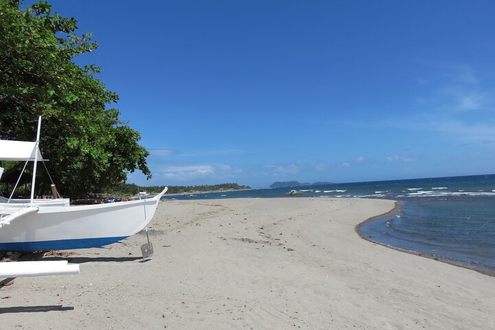 Beach 55 of 67