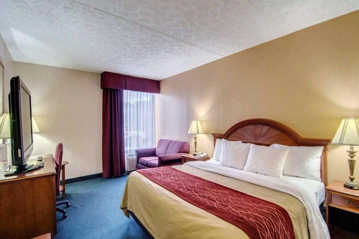 1 King Bed (7 of 9)
