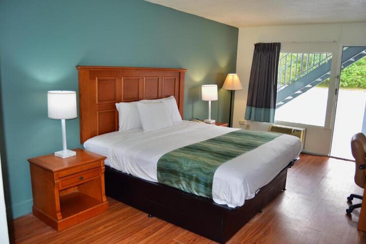 1 King Bed (14 of 14)