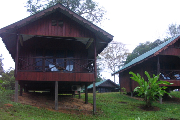 Exterior of Sukau Proboscis Lodge Bukit Melapi