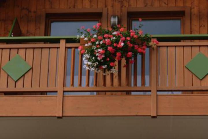 HOTEL PINETA