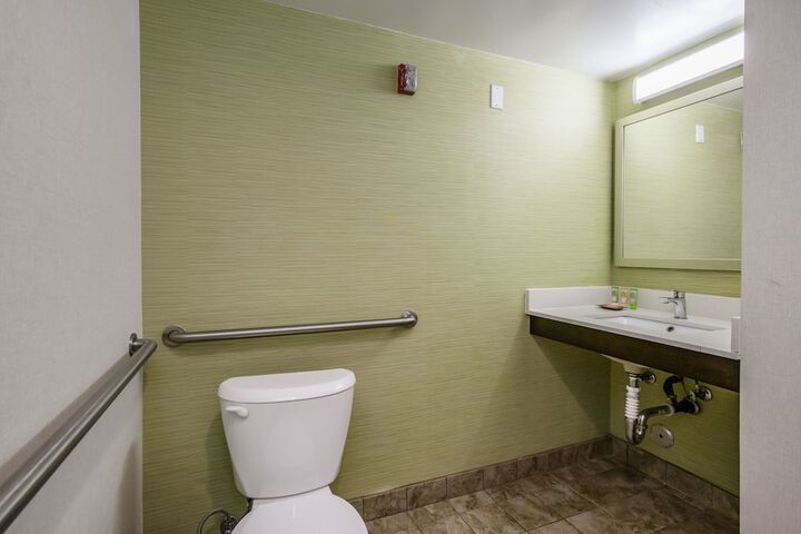 1 Queen Bed Mobility Accessible Bathtub Grab Bars (5 of 17)
